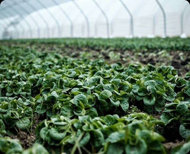 Renforcer les secteurs clés.